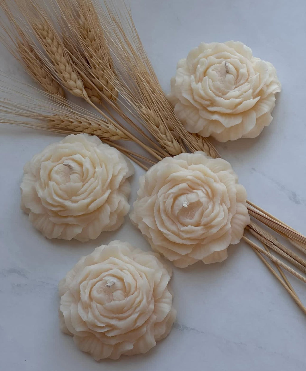 PEONY LOVE